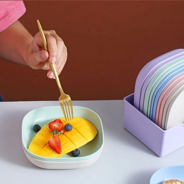 10pcs Multi-functional Food Grade Plates With Stand